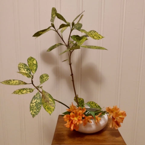 Ikebana