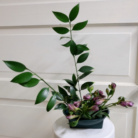 Ikebana