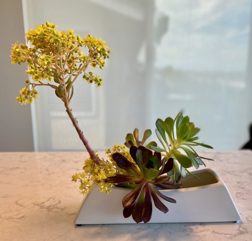 Ikebana