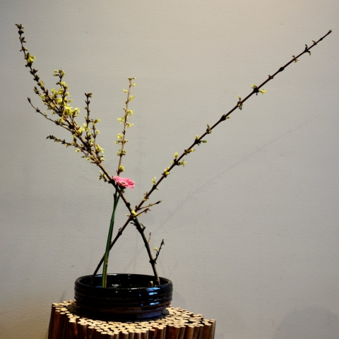 Ikebana