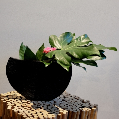 Ikebana