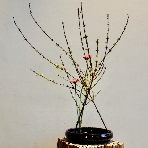 Ikebana