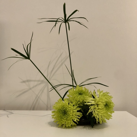 Ikebana