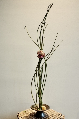 Ikebana