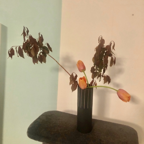 Ikebana