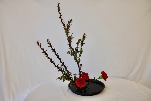 Ikebana