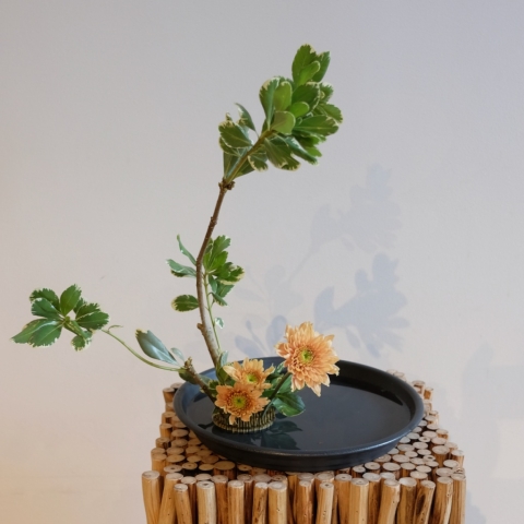 Ikebana