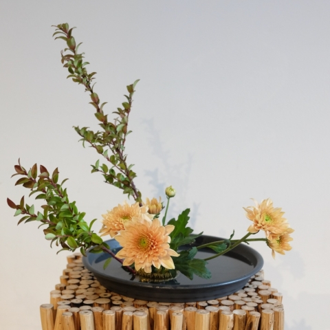 Ikebana