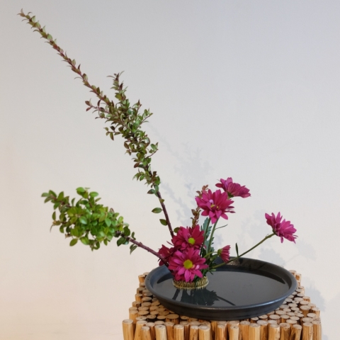 Ikebana