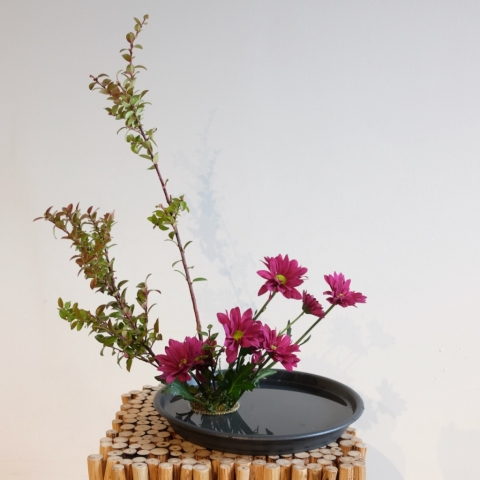 Ikebana