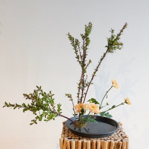 Ikebana