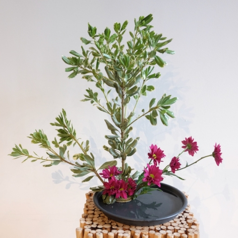 Ikebana