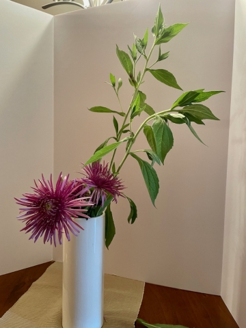 Ikebana