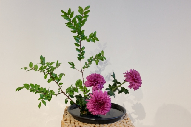 ikebana