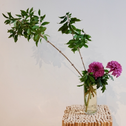 Ikebana