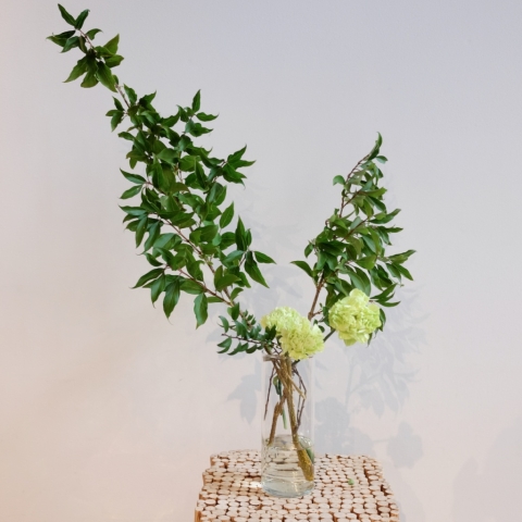 Ikebana