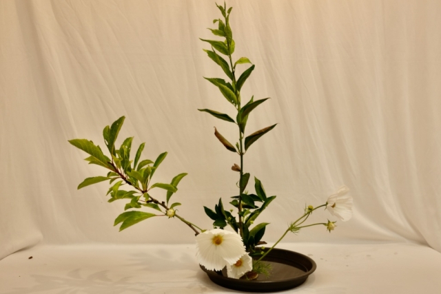 Ikebana