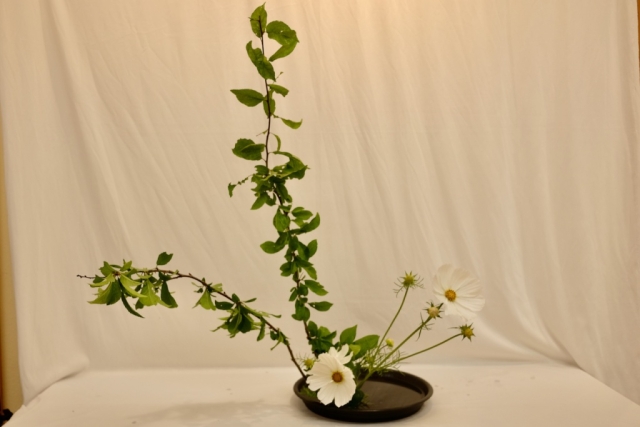 Ikebana