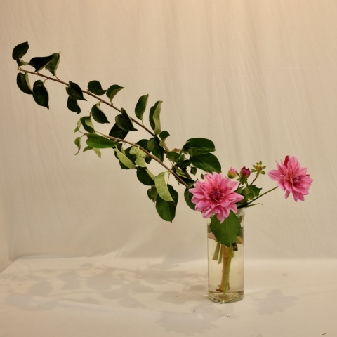 Ikebana