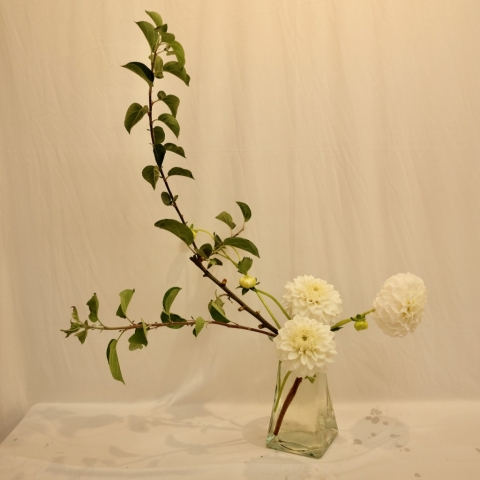 Ikebana