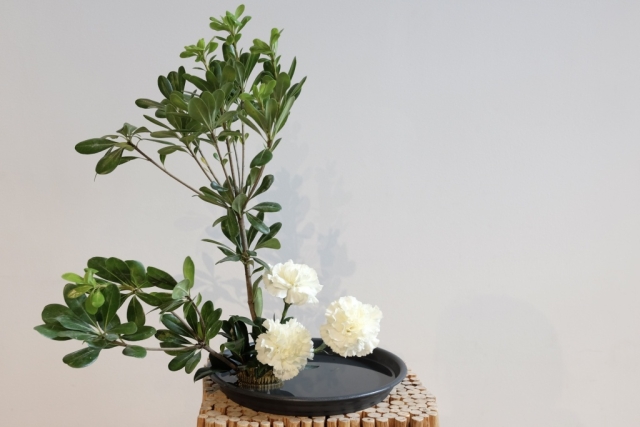 ikebana