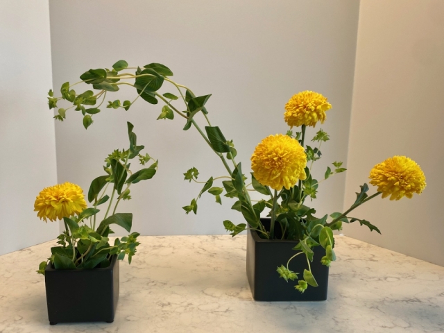 Ikebana