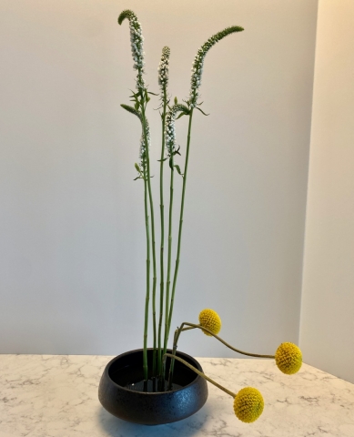 ikebana