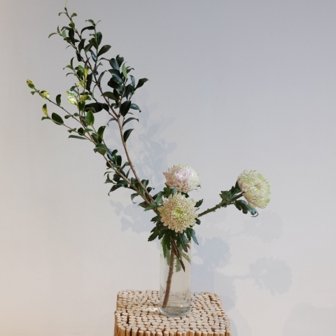 ikebana