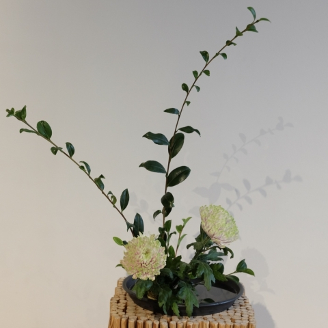 ikebana