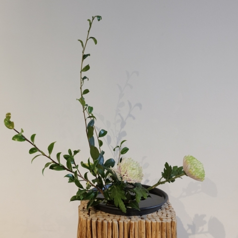 ikebana