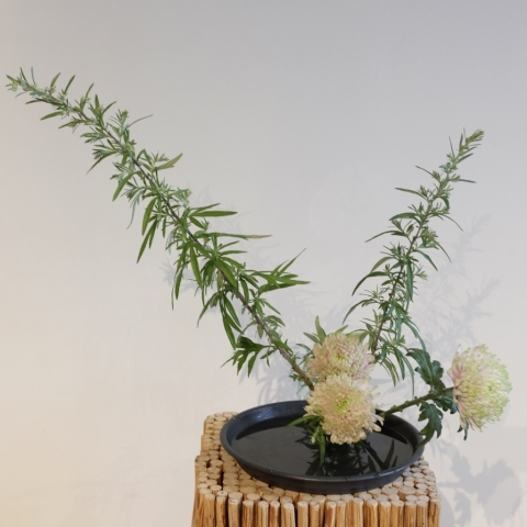 ikebana