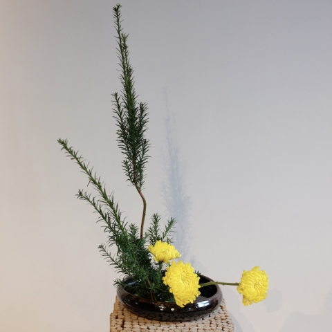 ikebana