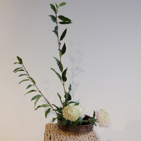 ikebana