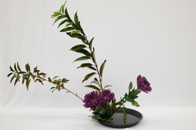 ikebana