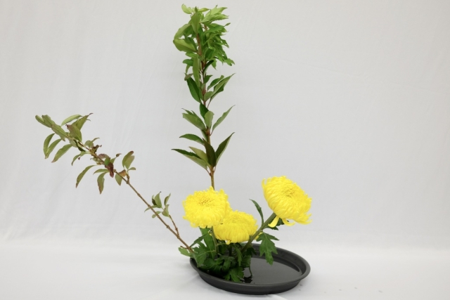 ikebana