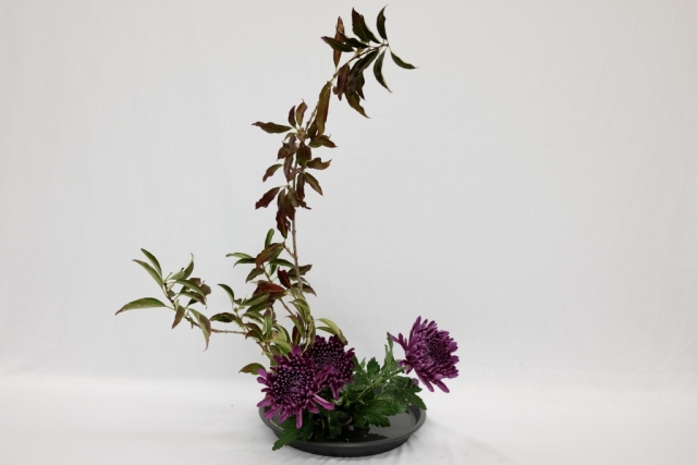 ikebana