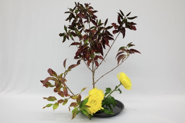 ikebana