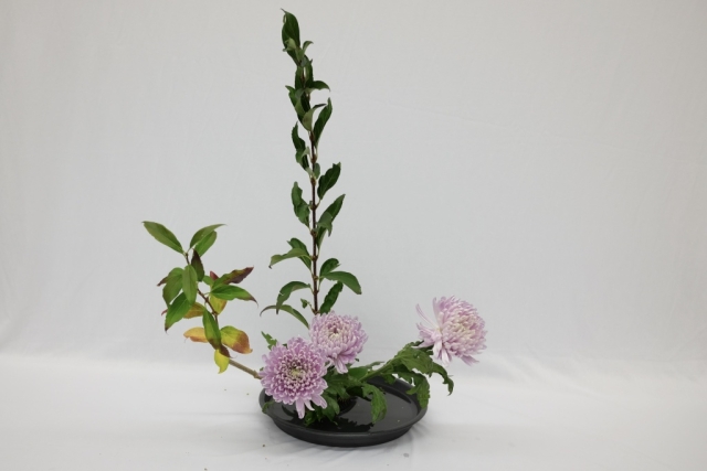 ikebana