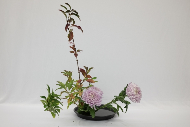 ikebana