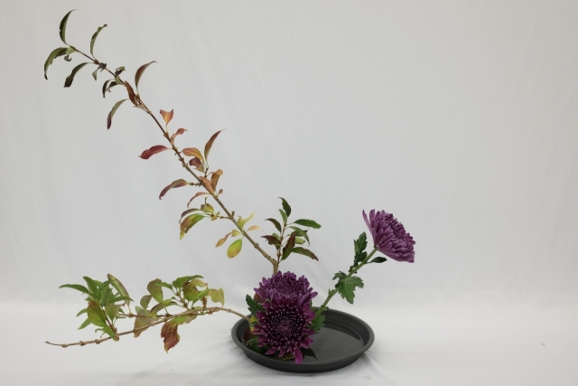 ikebana