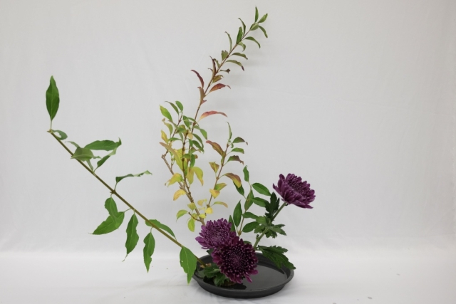 ikebana