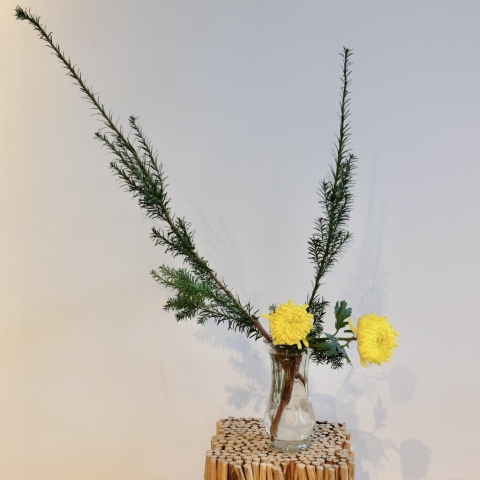 Ikebana