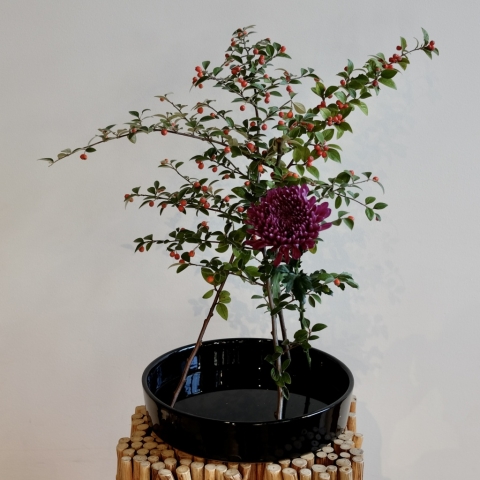 Ikebana