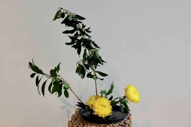 Ikebana