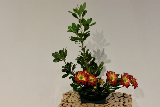 Ikebana