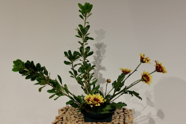 Ikebana