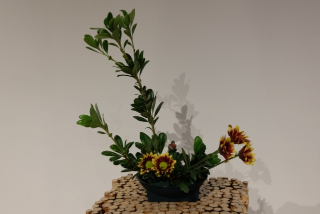 Ikebana