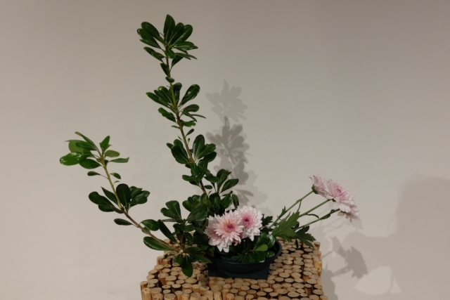 Ikebana