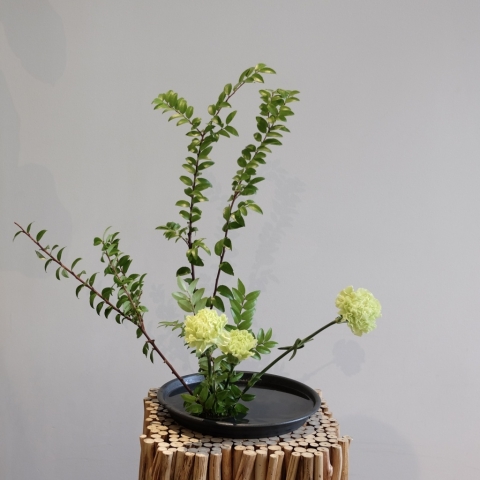 Ikebana