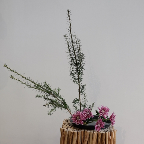 Ikebana